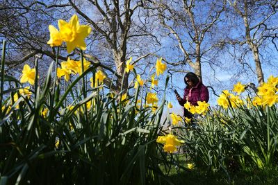 London basks in hottest day of the year as temperature tops 20C