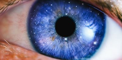 Human vision: what we actually see – and don’t see – tells us a lot about consciousness