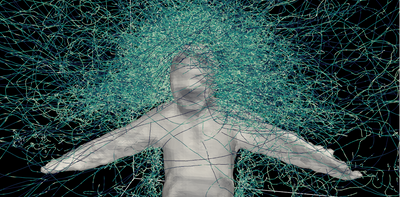 Hundreds of hungry mosquitoes, a student volunteer and a mesh suit helped us figure out how these deadly insects reach their targets