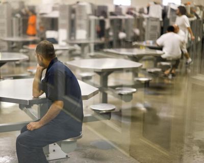 New York high school student released after 10 months in ICE facility