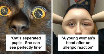 79 Weird And Unexplainable Images That May Linger In Your Brain Longer Than You Want (New Pics)