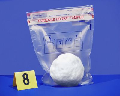 ‘Criminal’ or ‘kids throwing snowballs’? How a viral snow fight provoked Mamdani’s schism with NYPD