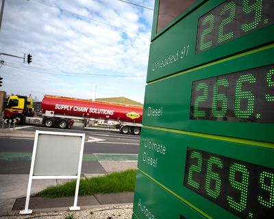 Afternoon Update: Fuel suppliers investigated over alleged price-gouging; Epstein’s emails visualised; and an ancient skeleton mystery