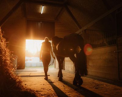 Mare by Emily Haworth-Booth review – profound story of a woman’s love for a horse