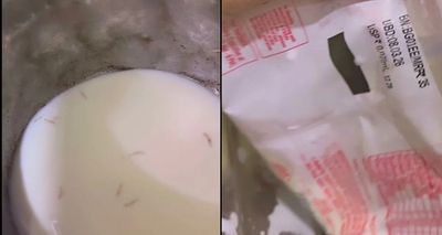 Worm in Amul Milk? Viral Clip Raises Safety Fears, Company Reacts