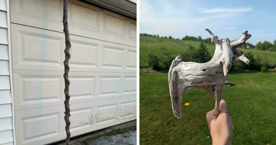 57 Cool Sticks People Found In The Wild That Could Even Serve As Blades, Staffs, And Swords