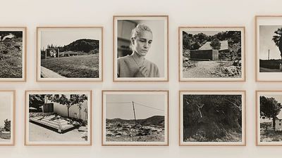 My private passion: Yórgos Lánthimos exposes his personal photography collection