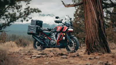 You Can Pick Up One of Harley's Best Motorcycles For a Song Right Now