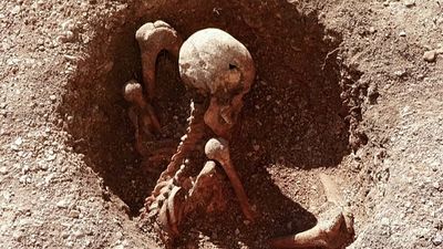 The Dijon five: Ancient skeletons found sitting upright in French school playground