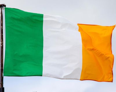 St Patrick’s Day float referencing Epstein files draws condemnation in Ireland