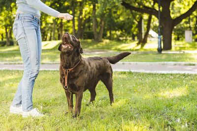 When Pets Predict Human Health Problems: Real Cases
