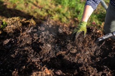 Why Your Compost Isn’t Heating Up