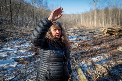 Groups take opposite stands on Green Mountain National Forest logging in Vermont