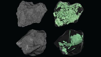 NASA peers inside an asteroid | Space photo of the day for March 19, 2026