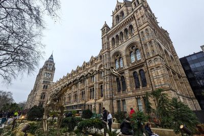 The free museum named the UK’s most-visited tourist attraction