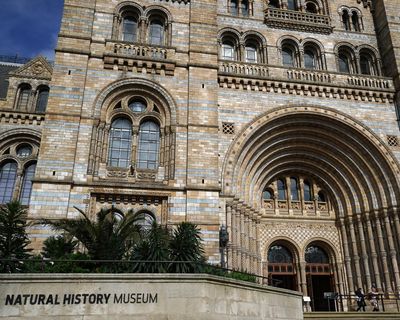 Natural History Museum tops UK attraction list with record visitors