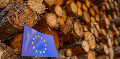 The silver lining in Europe’s deforestation law delay: A chance to build fairer supply chains