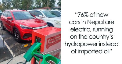 55 Pieces Of Good News For Everyone Who Is Sick And Tired Of Negative Headlines (New Pics)