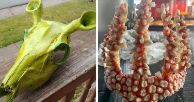 91 Unhinged Pics From Facebook Marketplace That Require A Few Double Takes To Understand