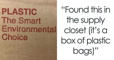 49 Old Photos That Aged So Badly That We Can Only Facepalm At Them (New Pics)