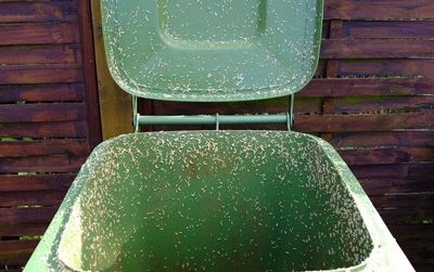 Stop 'garbage juice' from turning your trash can into a maggot farm with this $1 fix