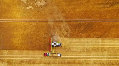 Europe's fertilizer crisis: prices surge due to Iran war and dependence on Russia