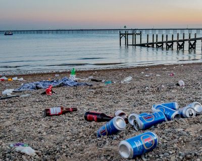 More than 70 UK councils failed to issue single fine for littering last year