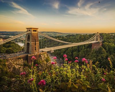 Wildlife abounds – even in our cities: readers’ favourite UK nature reserves and national parks