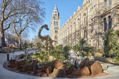 Natural History Museum named UK’s most popular tourist attraction as it bucks trend