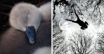 21 Jaw-Dropping Wildlife Shots That Won Big At The British Wildlife Photography Awards