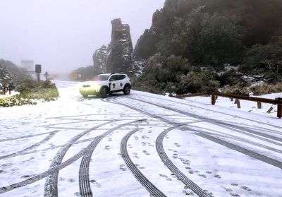 Is it safe to travel to Tenerife? Latest advice as Storm Therese prompts ‘maximum caution’ warning