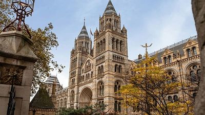 These are the UK’s most popular tourist attractions, from the Natural History Museum to Stonehenge