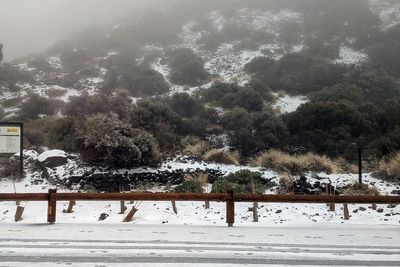 Tenerife declares state of emergency as Storm Therese brings heavy snow and 75mph winds
