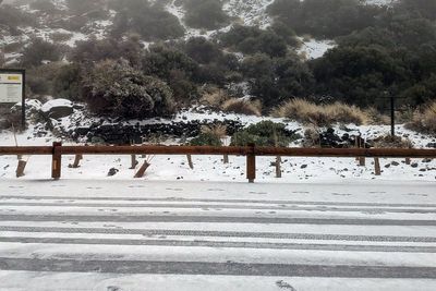 Tenerife covered in snow as storm barrels over tourist hotspot