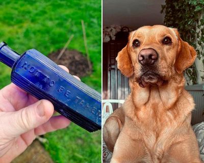 Dog digs up possible link to notorious 19th-century Devon murder case