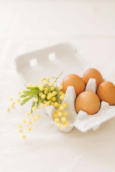 Egg Prices Plummet While Overall Grocery Bills Remain High