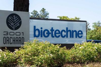 How Is Bio-Techne's Stock Performance Compared to Other Biotechnology Stocks