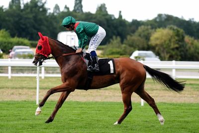 World’s top-rated Flat horse to race in Dubai despite conflict in the Gulf