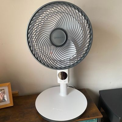 I upgraded my basic fan to this quiet Meaco pedestal air circulator, and I’m kicking myself for not doing it sooner