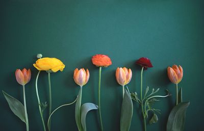 Does your creative practice need a spring clean?