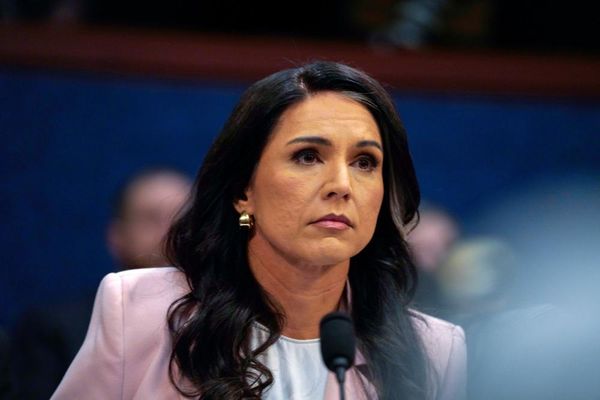 Gabbard testimony on Puerto Rico voting machines raises questions about role of Venezuela conspiracy theory