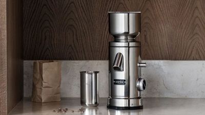 The Aarke Coffee Grinder Delivers Precision Performance and Stainless Steel Style That Injects Immediate Luxury to Your Kitchen