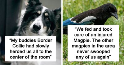 “Watching It Gave Me Chills”: 43 People Share The Creepiest Displays Of Intelligence They’ve Seen In Others