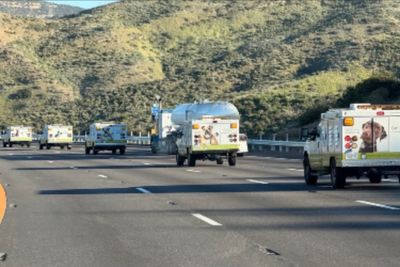Hundreds of dogs and cats rescued in massive LA County animal welfare operation