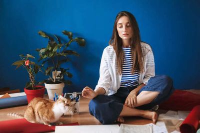 Why Safe personal Space Matter For Every Pet ?