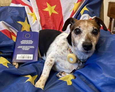 Owners from Great Britain travelling to EU warned over pet passport ‘dodge’