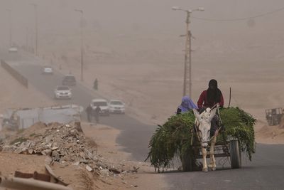 Gaza’s new border: The farmers who can’t get to their land beyond Israel’s ‘yellow line’