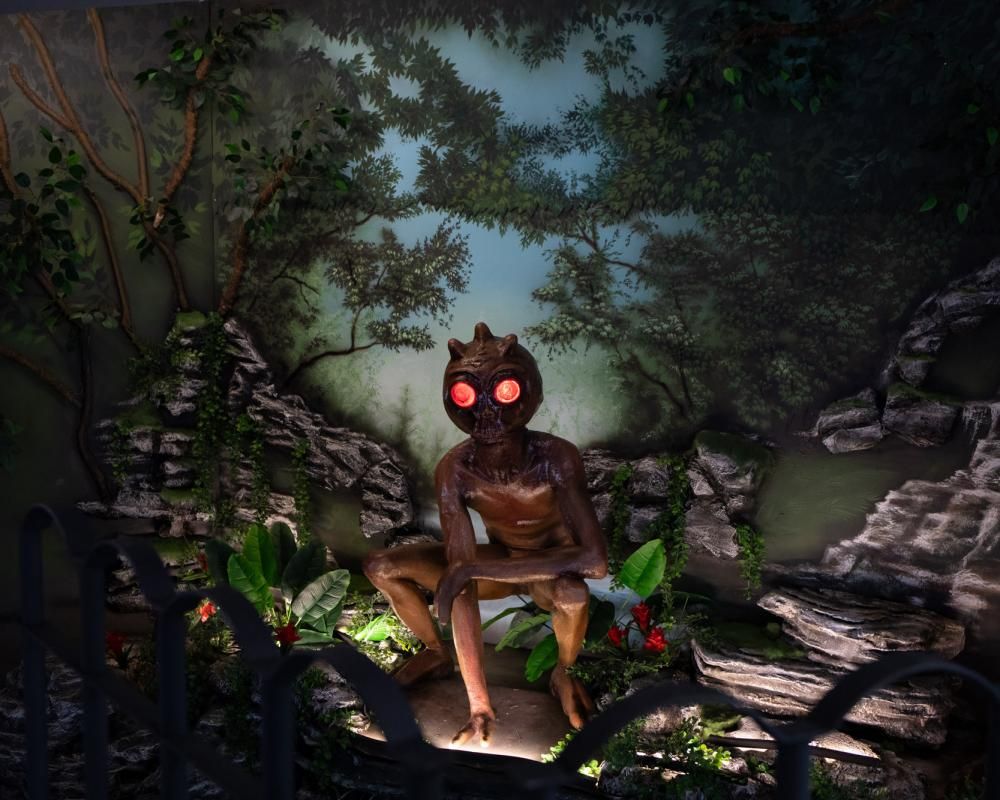 ‘I’ve seen the devil’: Brazil’s UFO capital marks 30 years since ‘alien encounter’