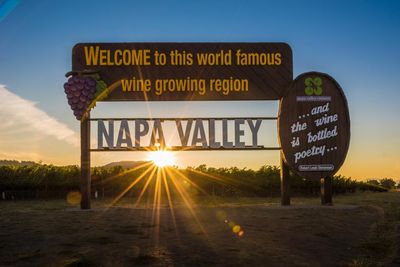 Shifting tastes, shrinking sales: Napa Valley’s wineries adapt amid ‘shocking’ downturn