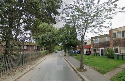 Woman suffers life-changing injuries in South London stabbing